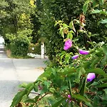 Maria Sole Bed & Breakfast Revello