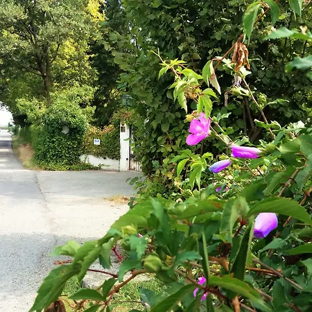 Maria Sole Bed & Breakfast Revello