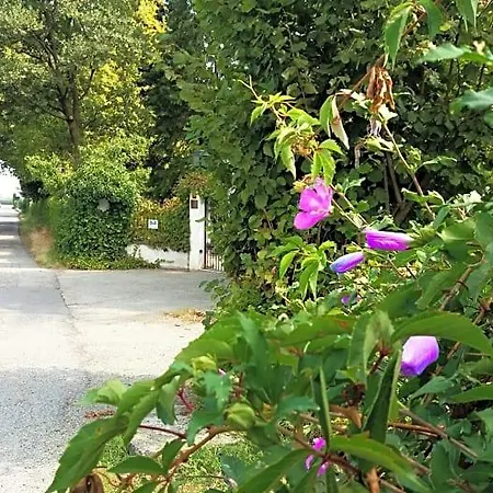 Maria Sole Bed & Breakfast Revello