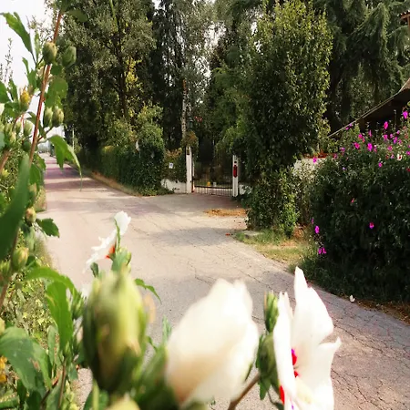 Maria Sole 3* Revello