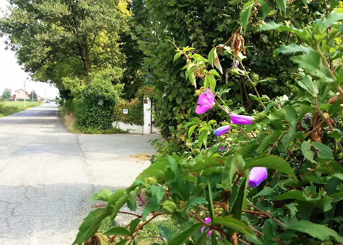 Maria Sole Bed & Breakfast Revello