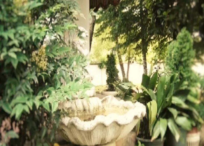 Bed & Breakfast Maria Sole